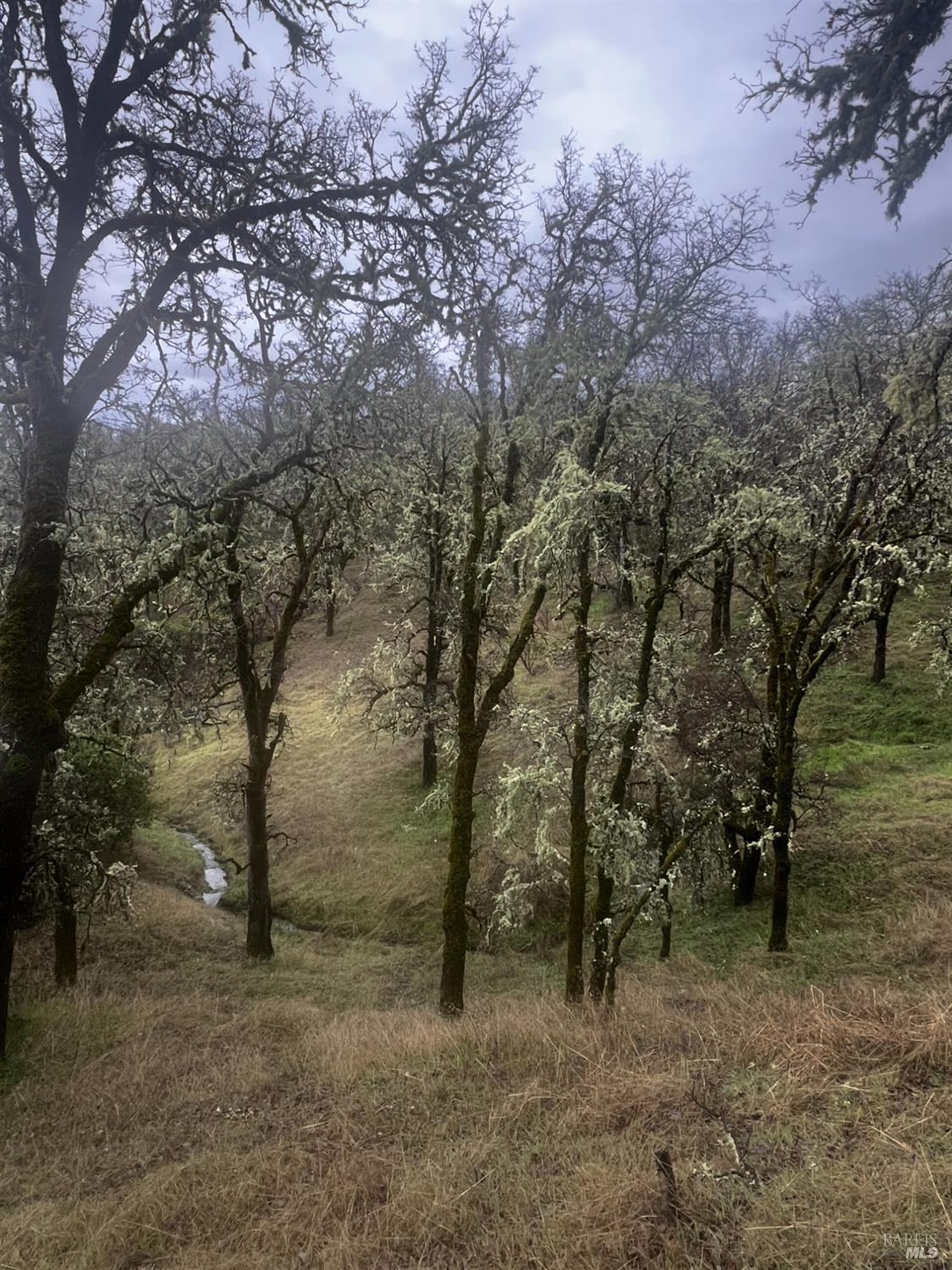 23040 Poonkinney Road Covelo CA 95428