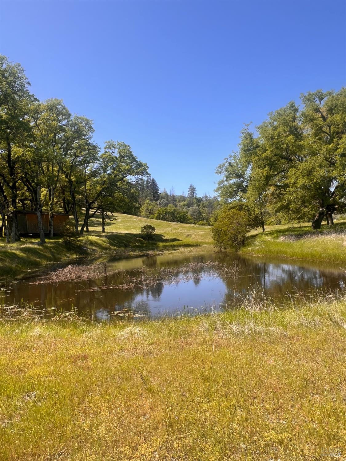 23040 Poonkinney Road Covelo CA 95428