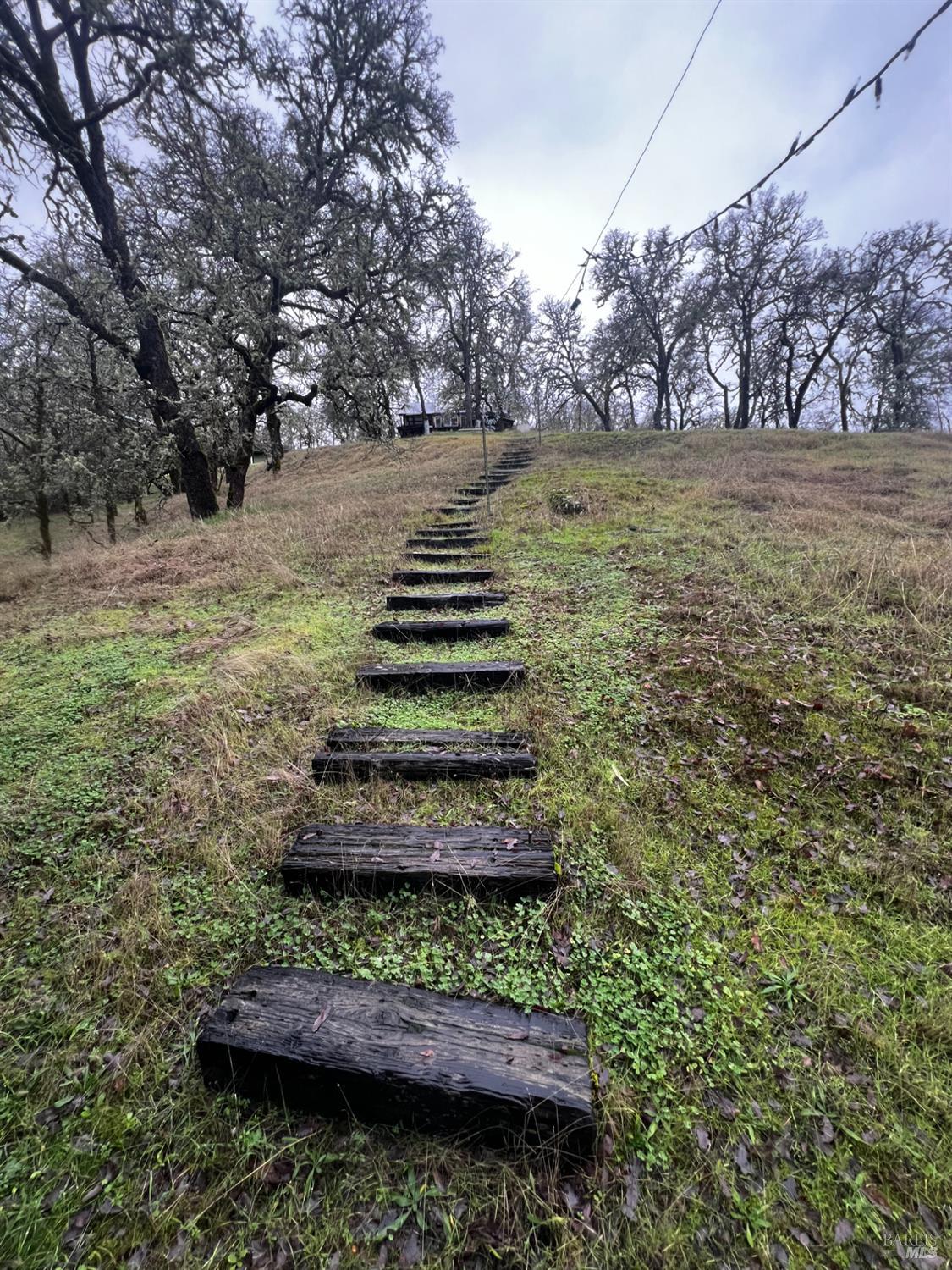 23040 Poonkinney Road Covelo CA 95428