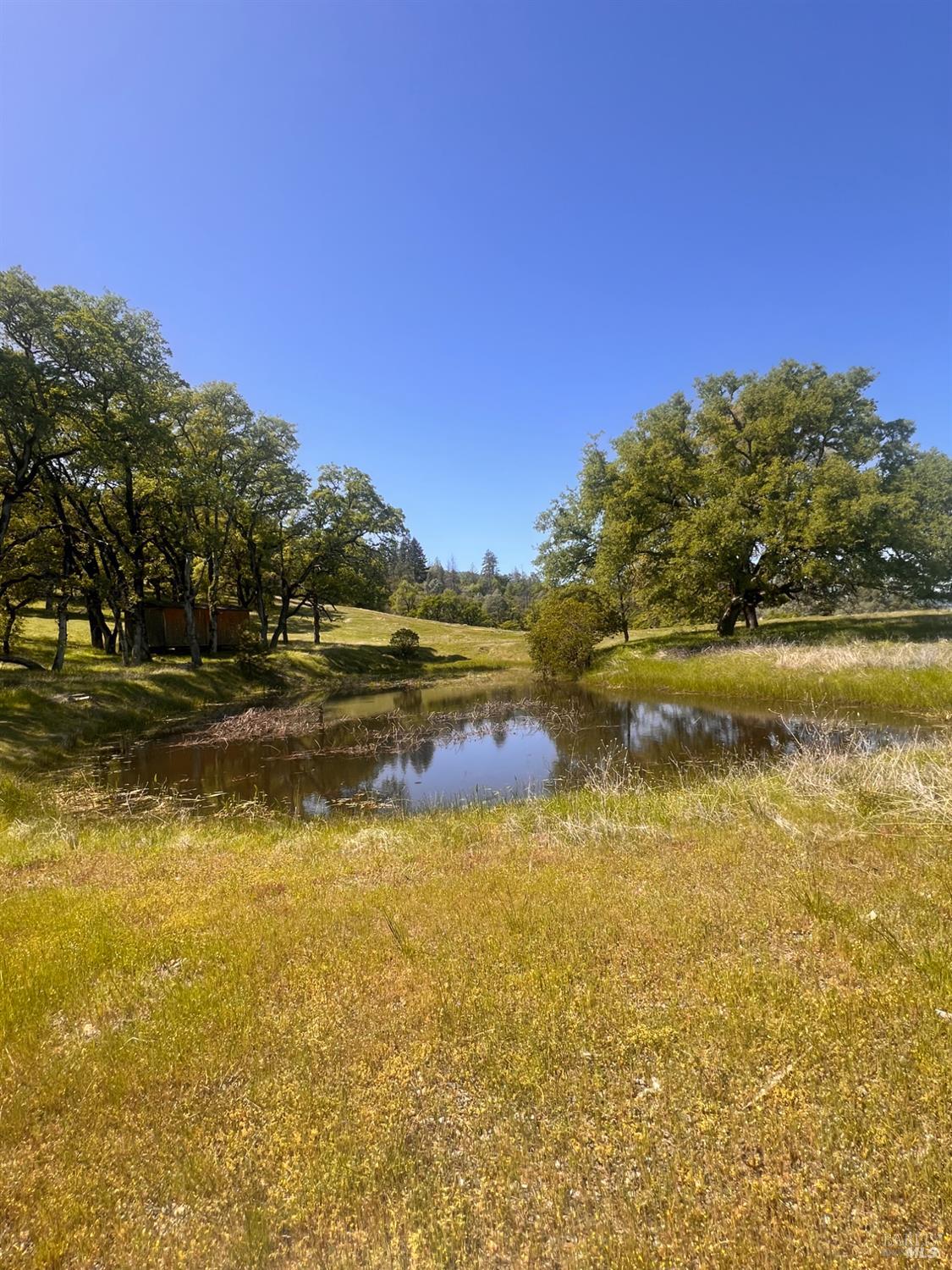 23040 Poonkinney Road Covelo CA 95428