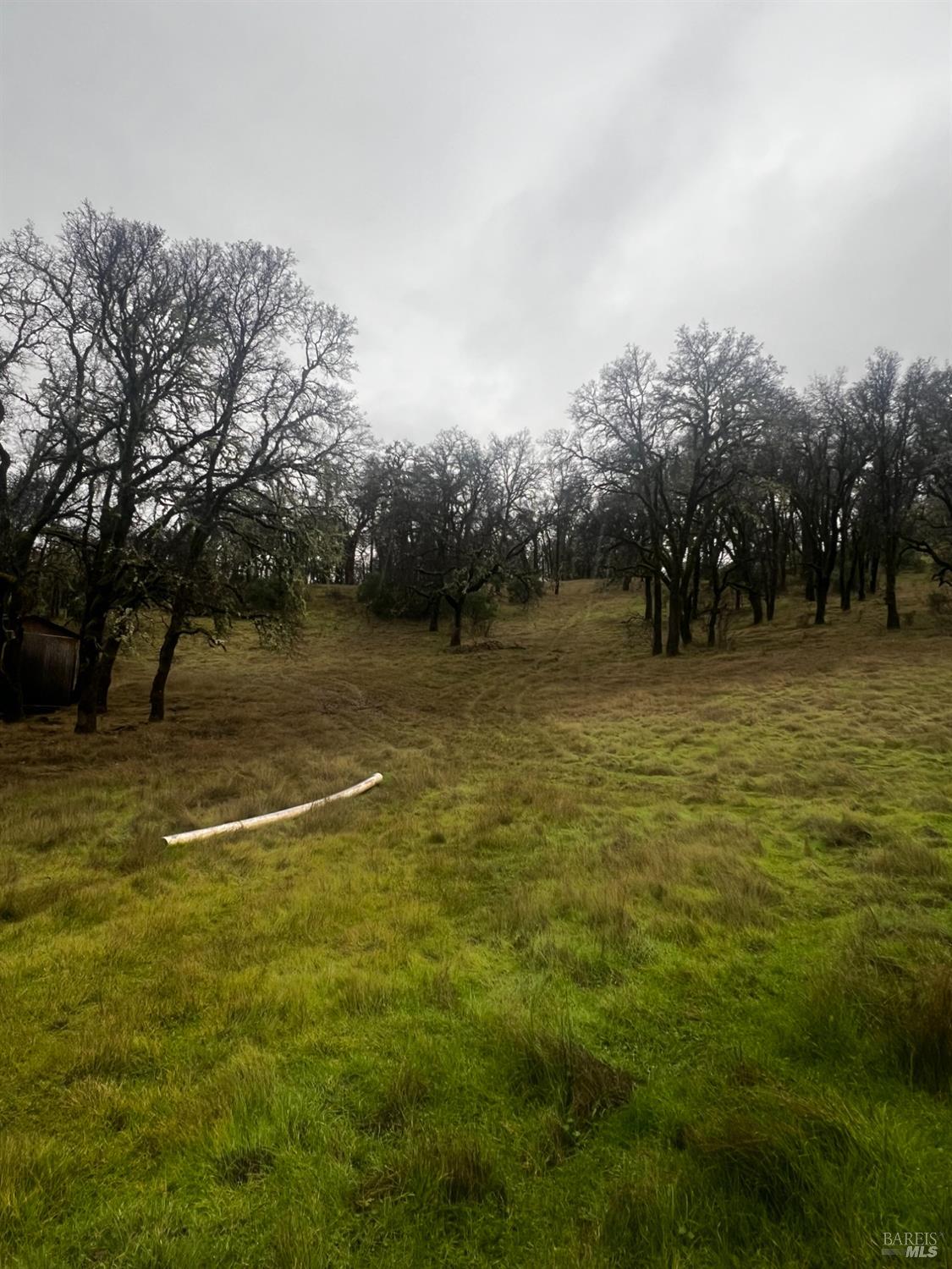 23040 Poonkinney Road Covelo CA 95428
