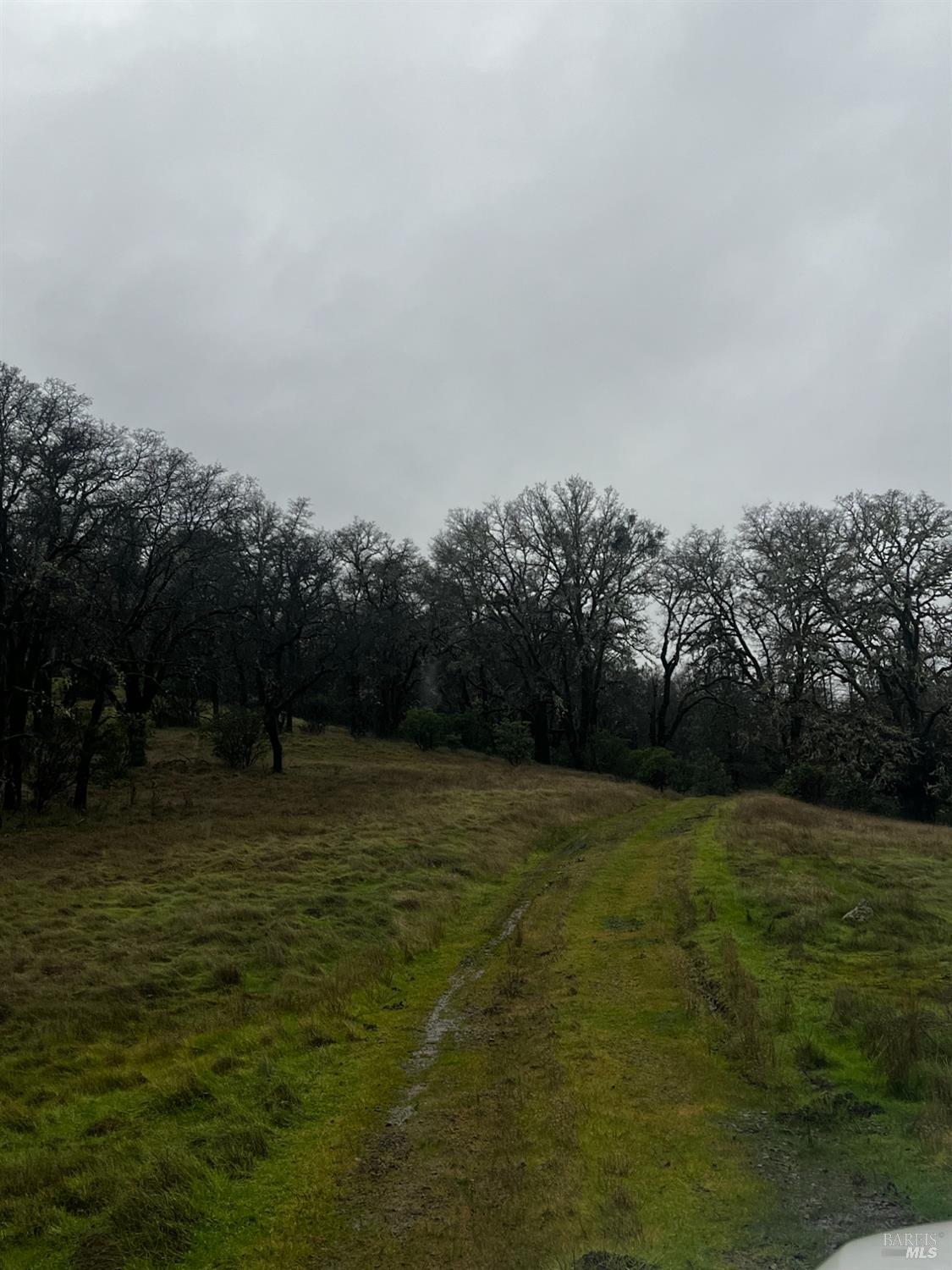 23040 Poonkinney Road Covelo CA 95428