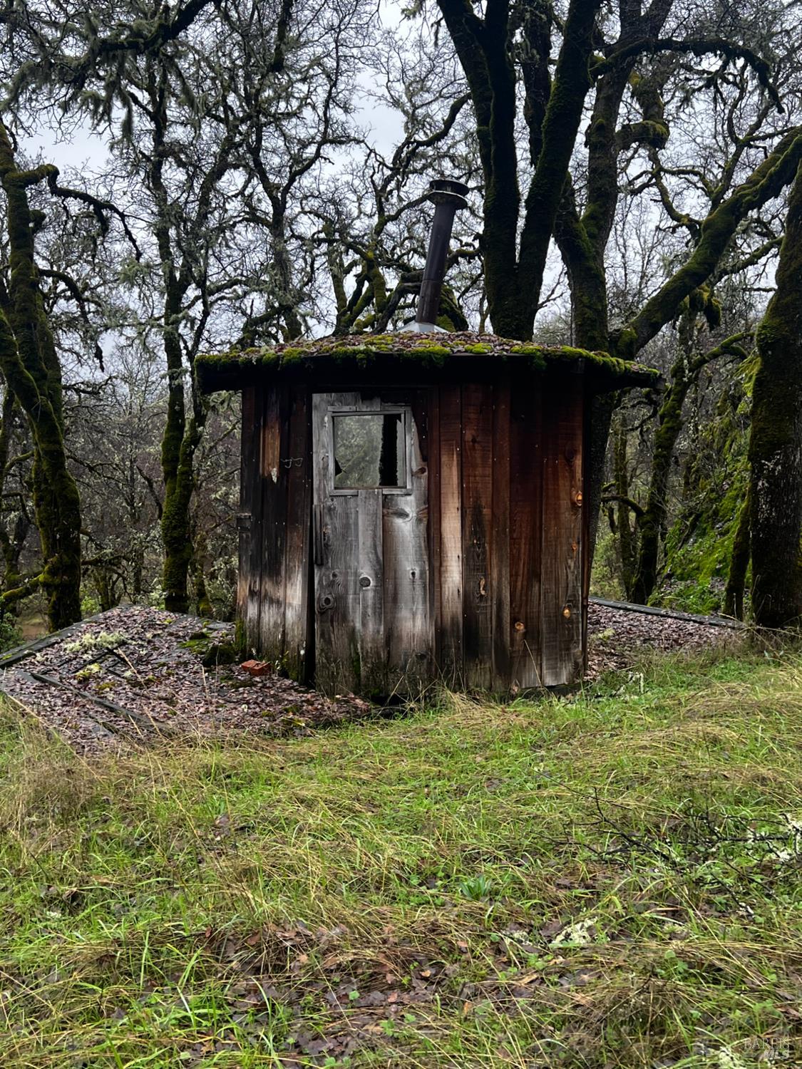 23040 Poonkinney Road Covelo CA 95428
