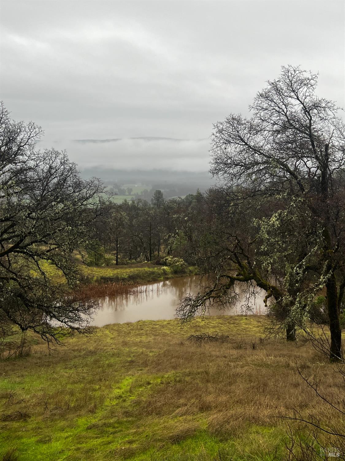 23040 Poonkinney Road Covelo CA 95428
