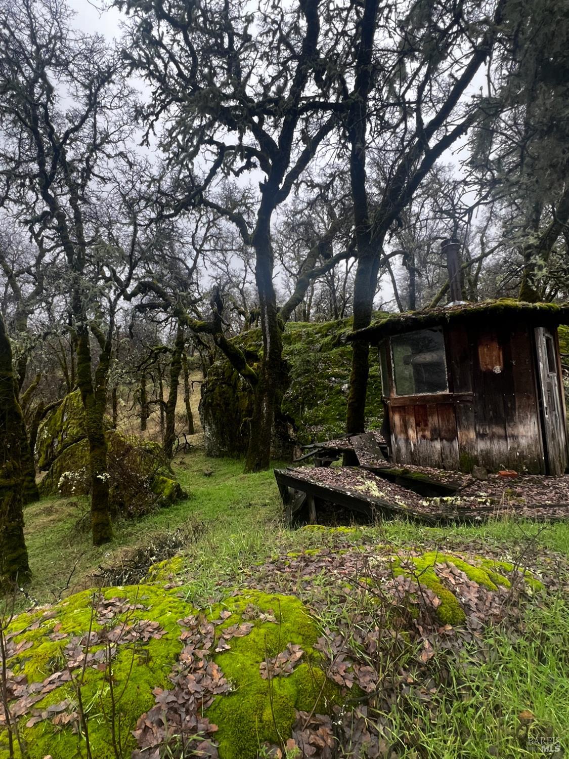 23040 Poonkinney Road Covelo CA 95428
