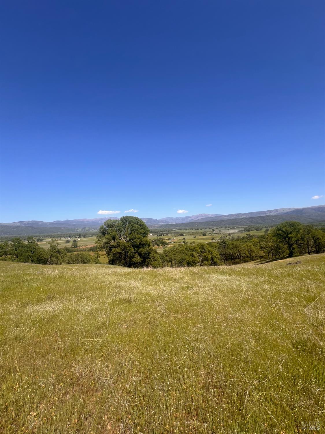 23040 Poonkinney Road Covelo CA 95428
