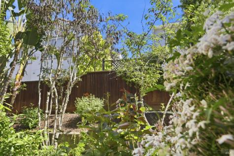 130 Chesapeake Lane Novato CA 94949