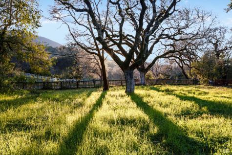 3820 Warm Springs Road Glen Ellen CA 95442