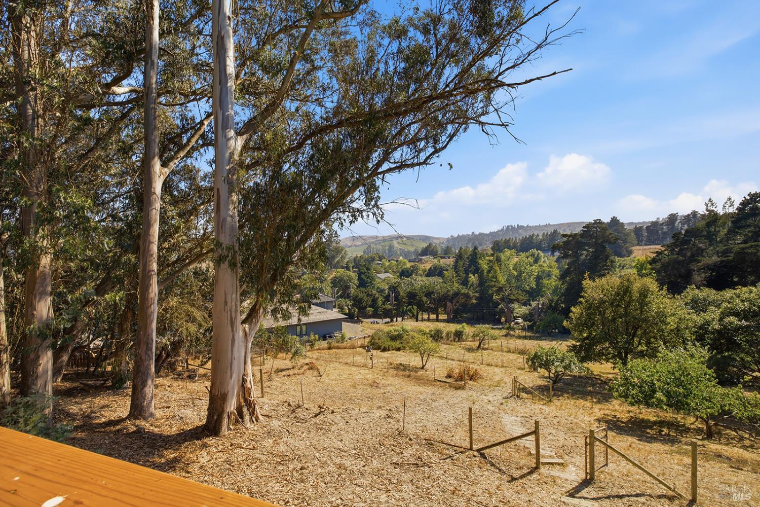 2455 Bloomfield Road Sebastopol CA 95472