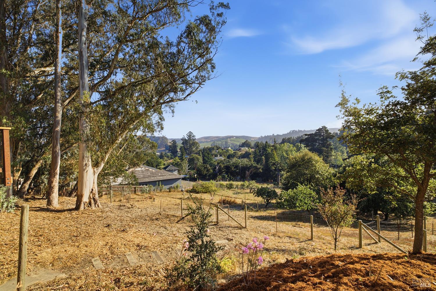 2455 Bloomfield Road Sebastopol CA 95472