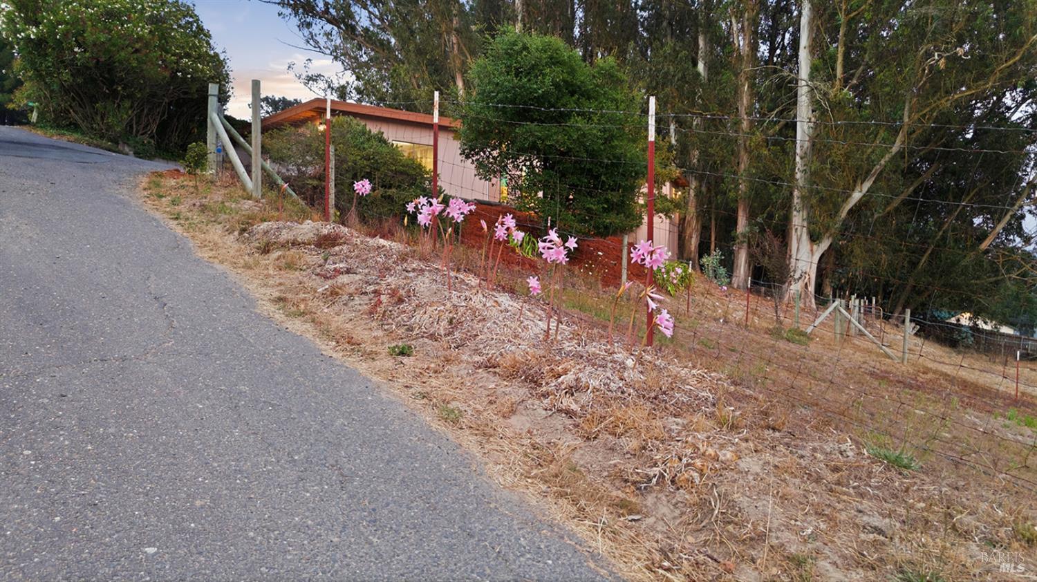 2455 Bloomfield Road Sebastopol CA 95472
