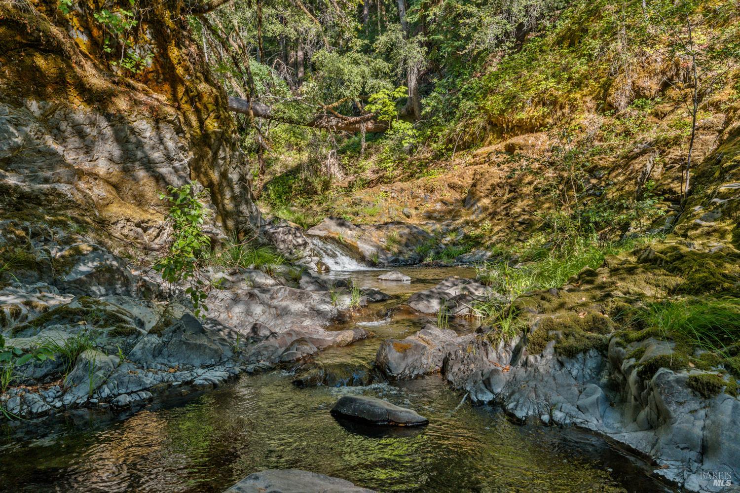 21200 Orr Springs Road Ukiah CA 95482