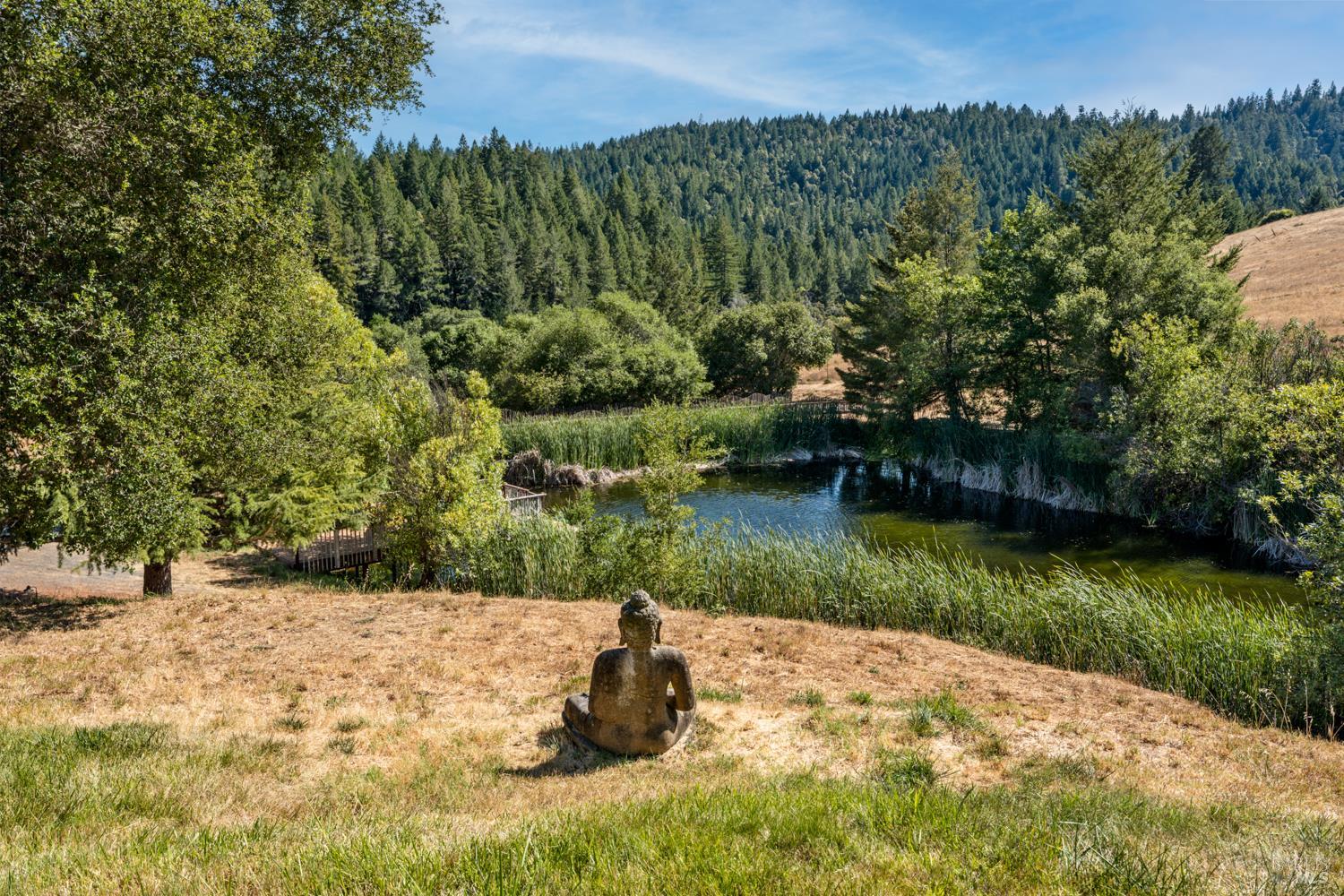 21200 Orr Springs Road Ukiah CA 95482