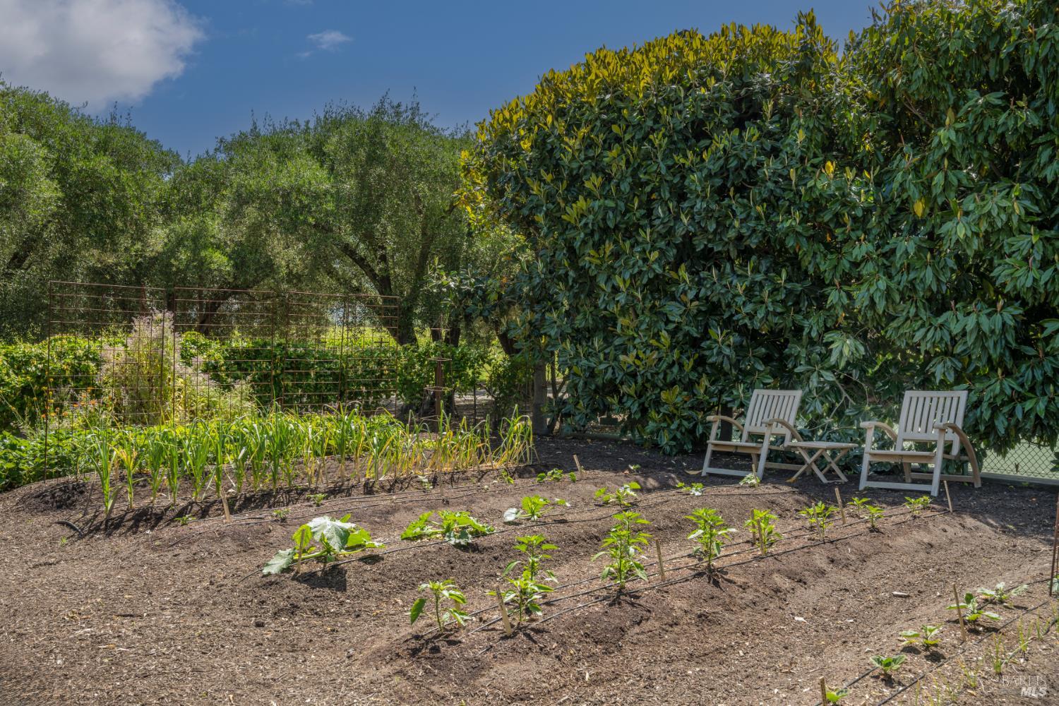 900 Rutherford Road Rutherford CA 94573