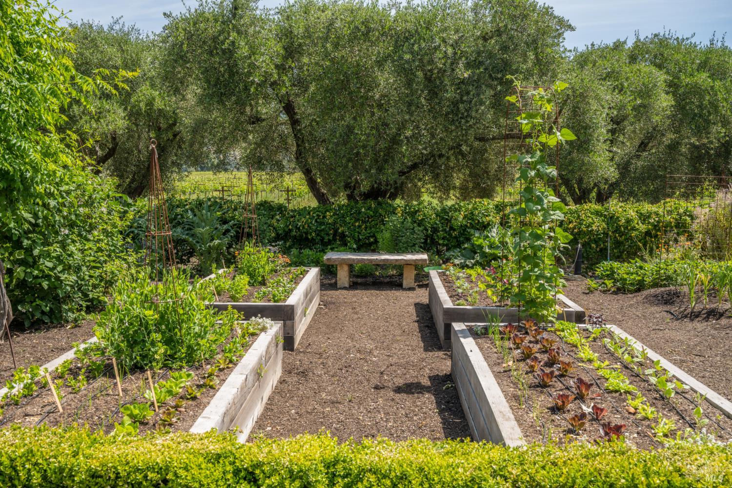 900 Rutherford Road Rutherford CA 94573