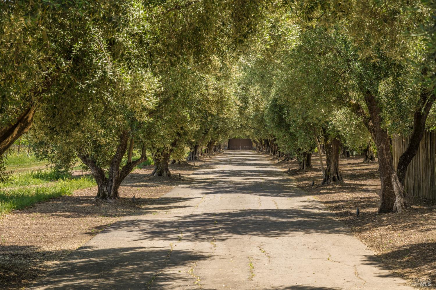 900 Rutherford Road Rutherford CA 94573