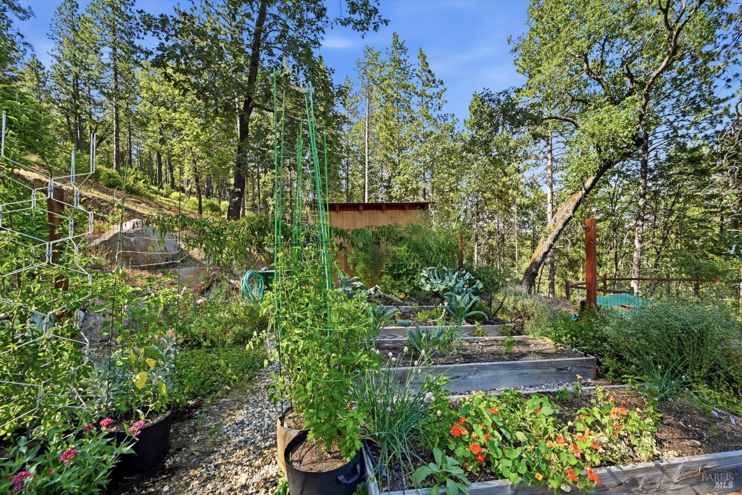 11240 Loch Lomond Road Middletown CA 95461