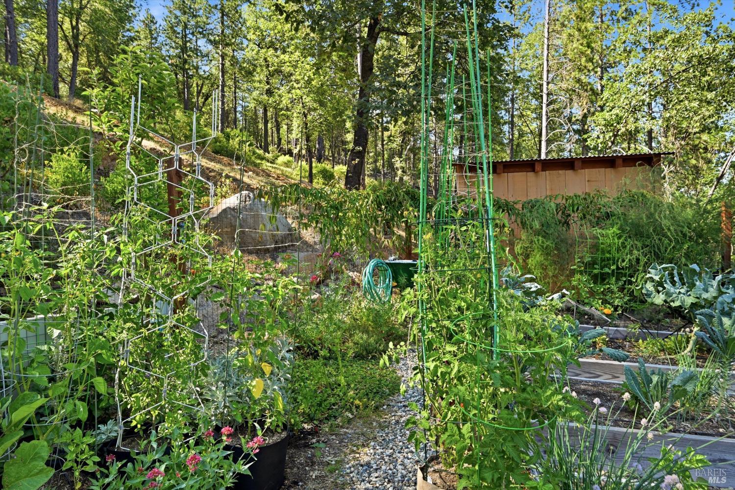 11240 Loch Lomond Road Middletown CA 95461