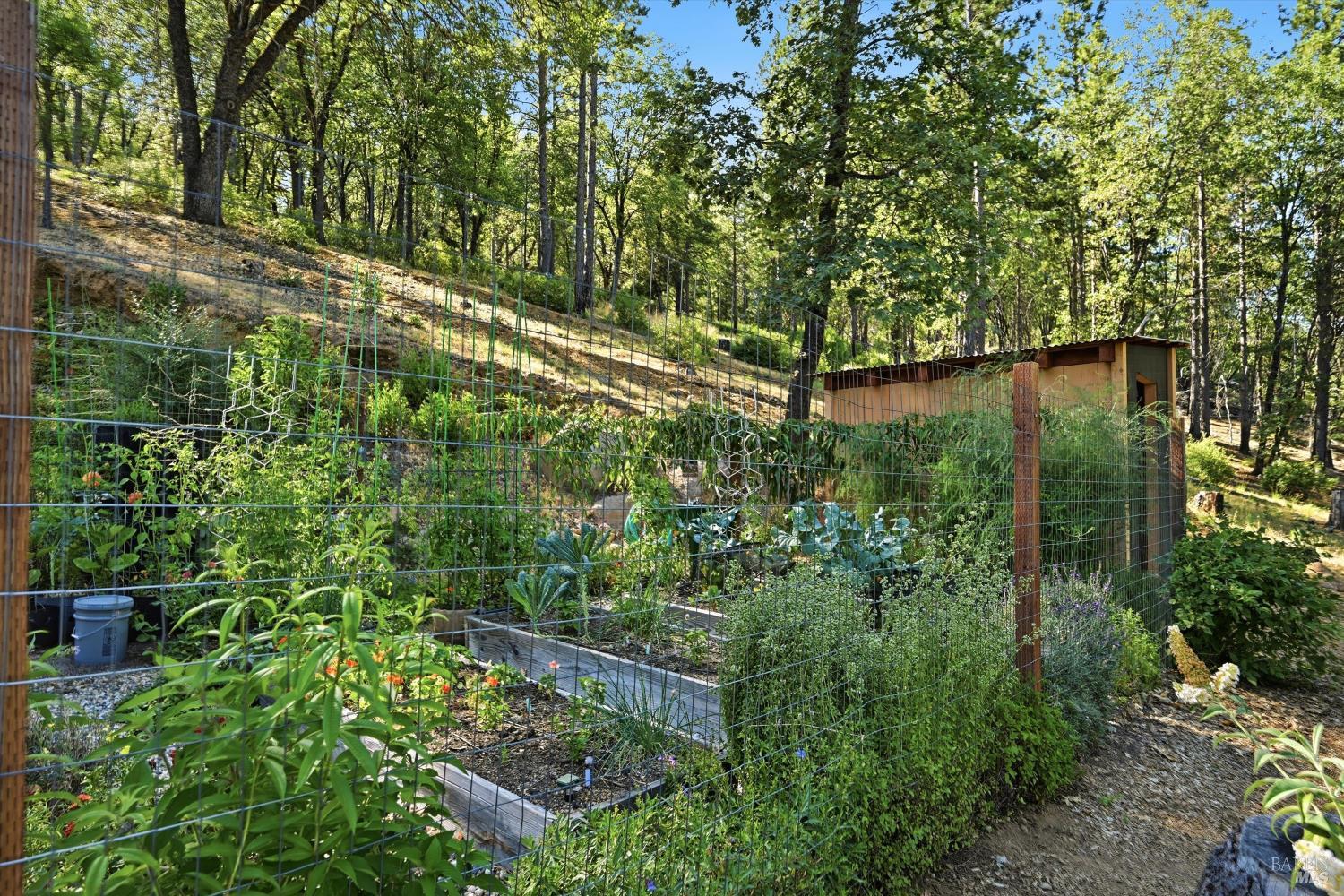 11240 Loch Lomond Road Middletown CA 95461