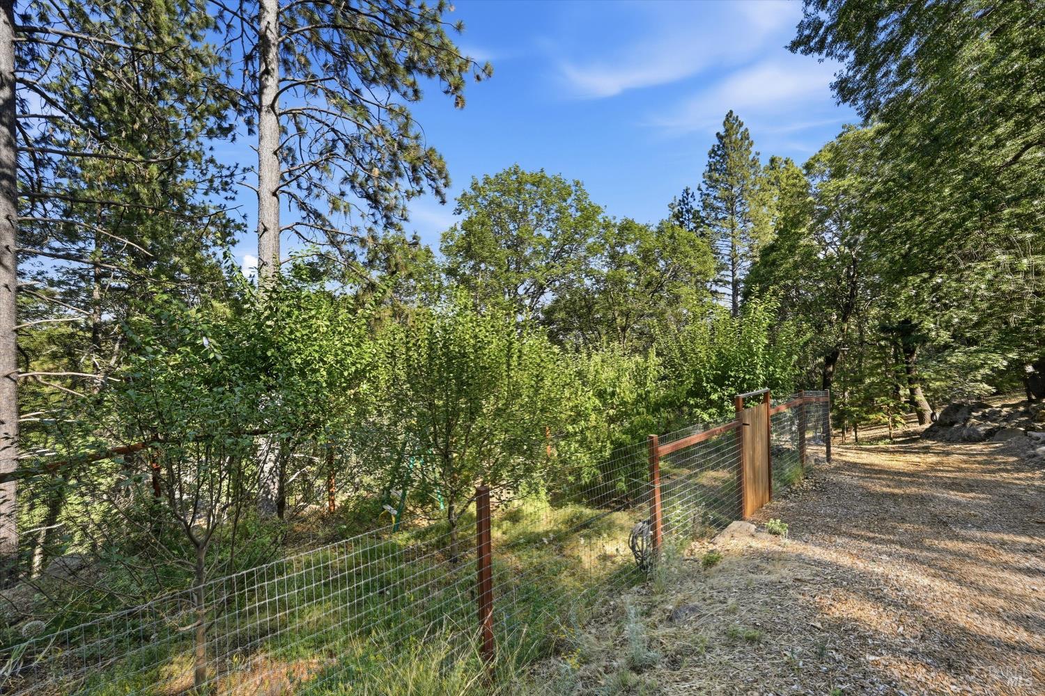 11240 Loch Lomond Road Middletown CA 95461