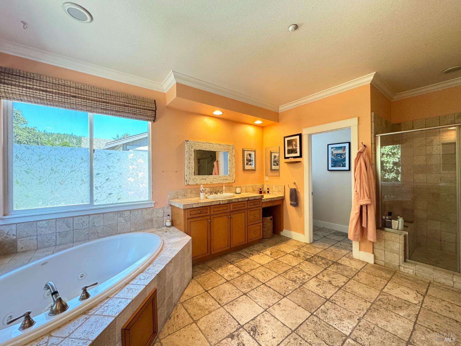 121 Zinfandel Court Cloverdale CA 95425