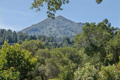 49 Hillcrest Avenue Larkspur CA 94939