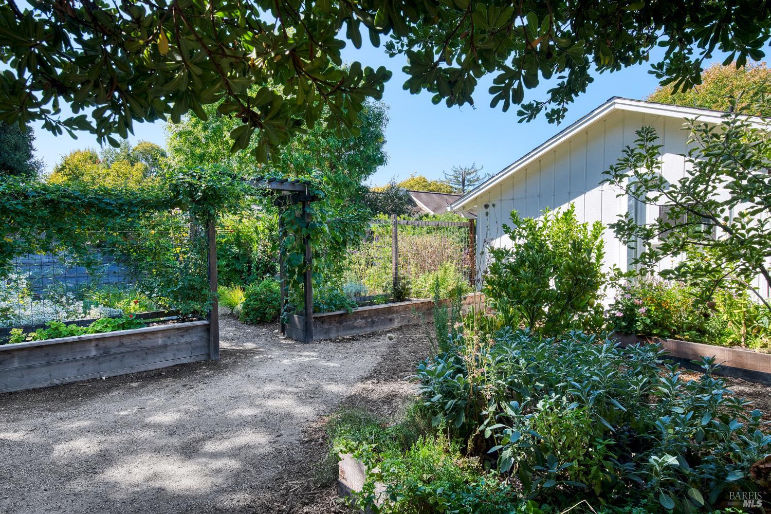 538 3rd Street E Sonoma CA 95476