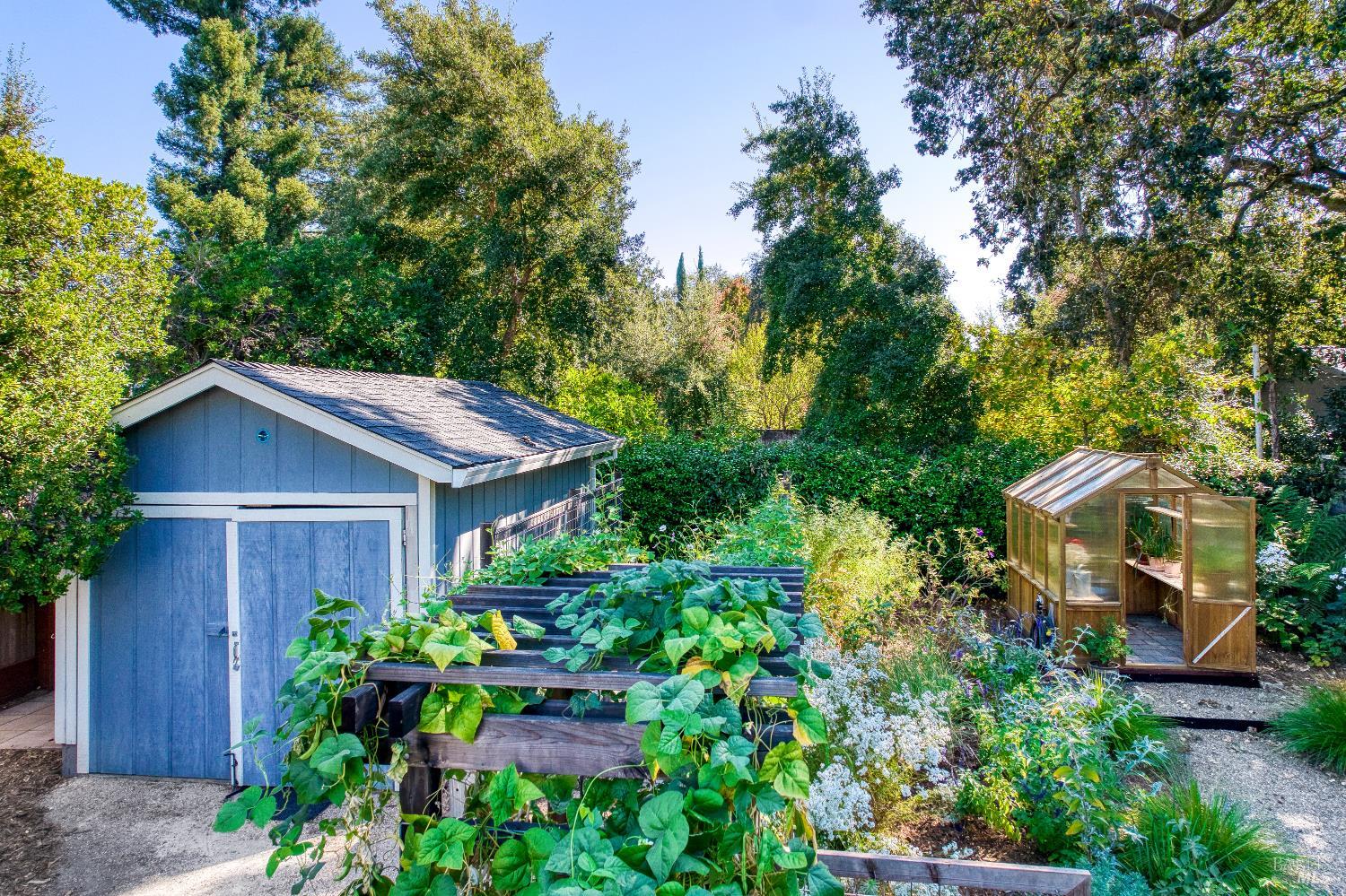 538 3rd Street E Sonoma CA 95476