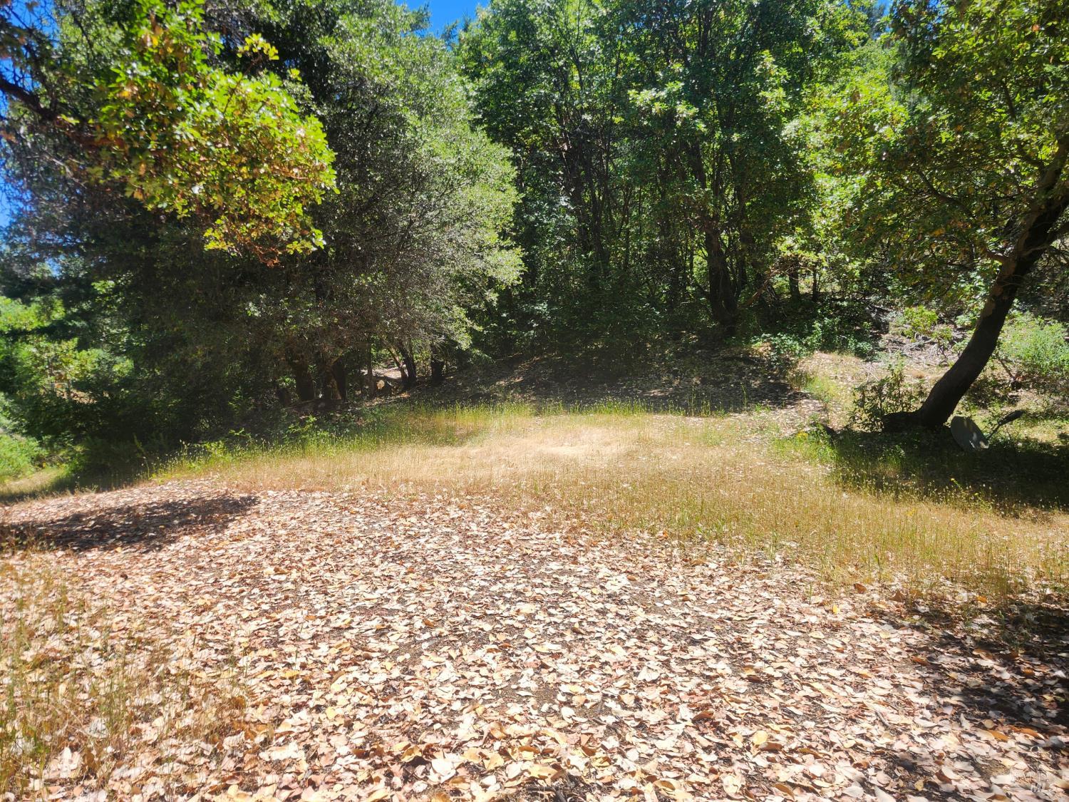78577 Mina Road Covelo CA 95428