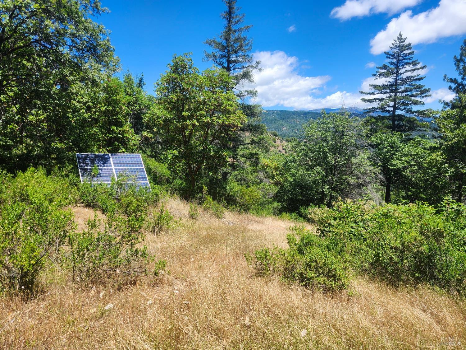 78577 Mina Road Covelo CA 95428