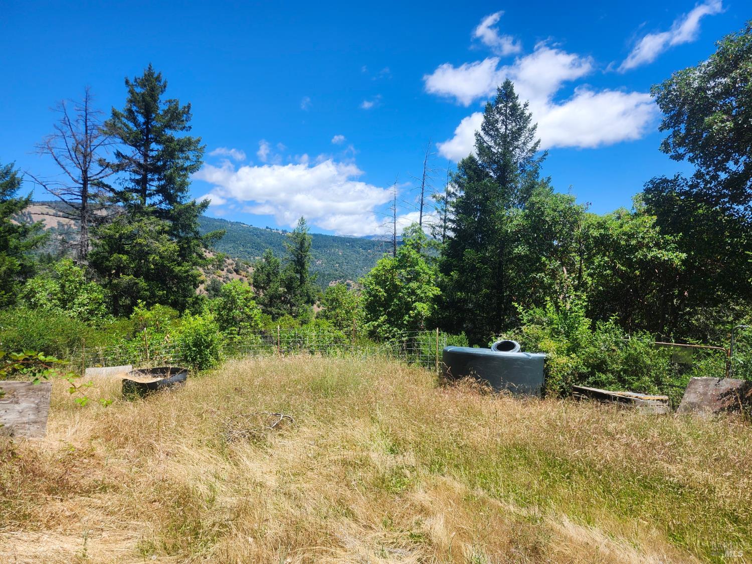 78577 Mina Road Covelo CA 95428