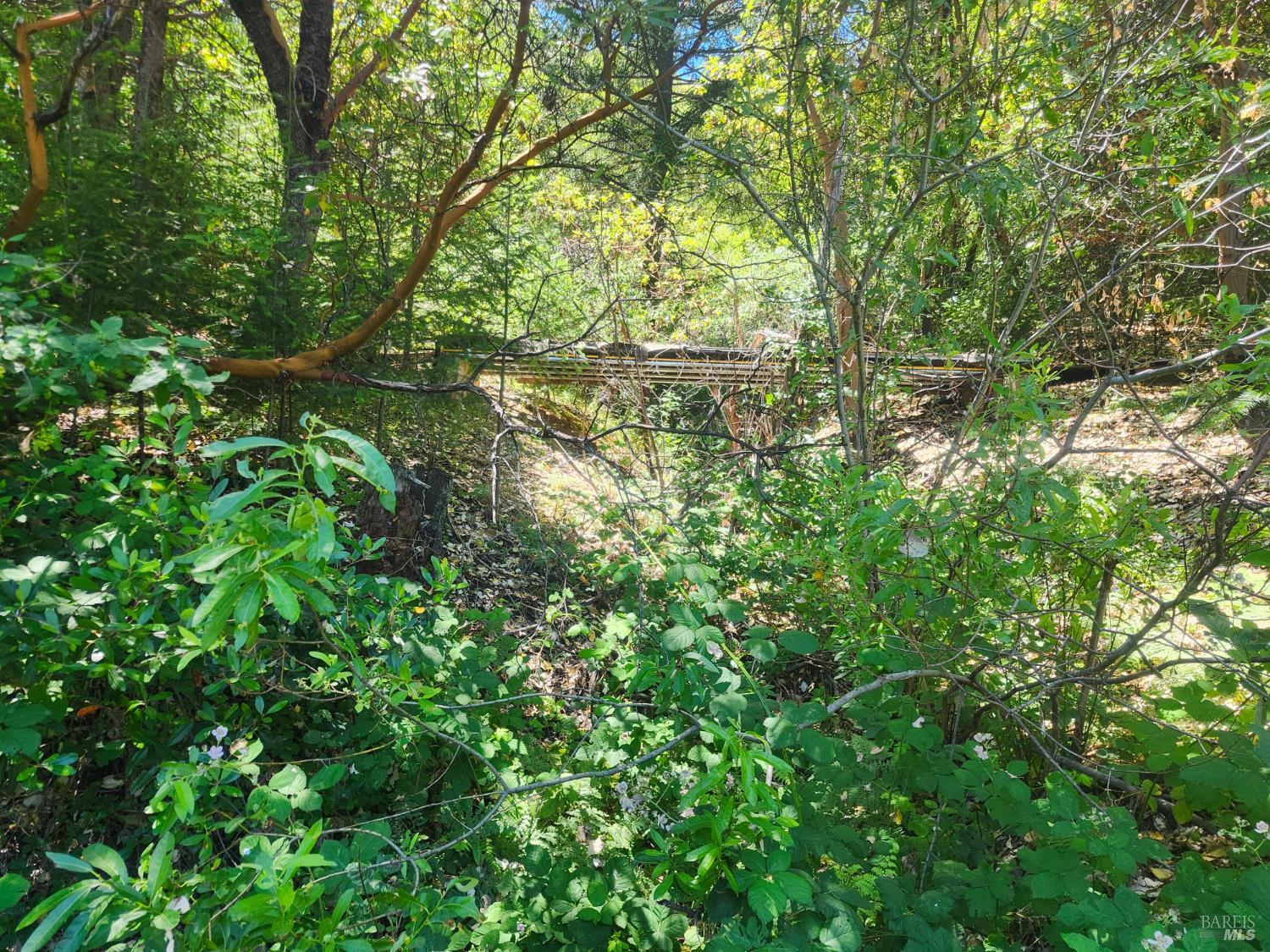 78577 Mina Road Covelo CA 95428
