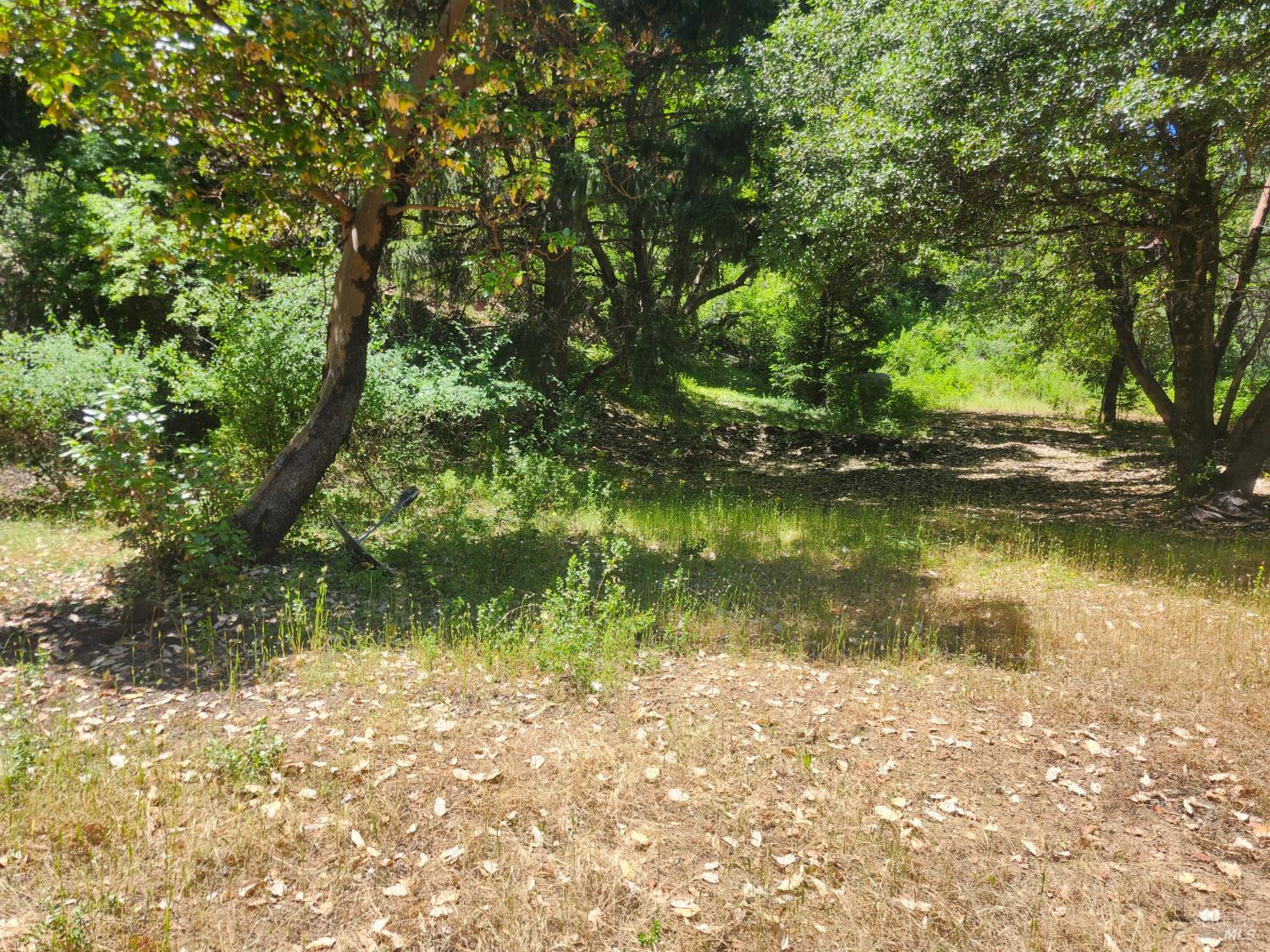 78577 Mina Road Covelo CA 95428