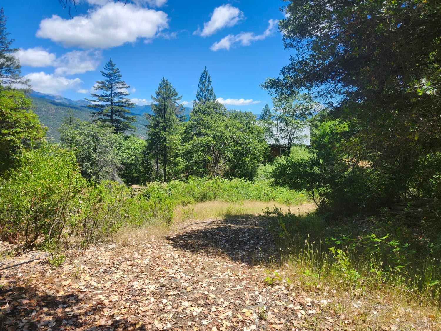 78577 Mina Road Covelo CA 95428