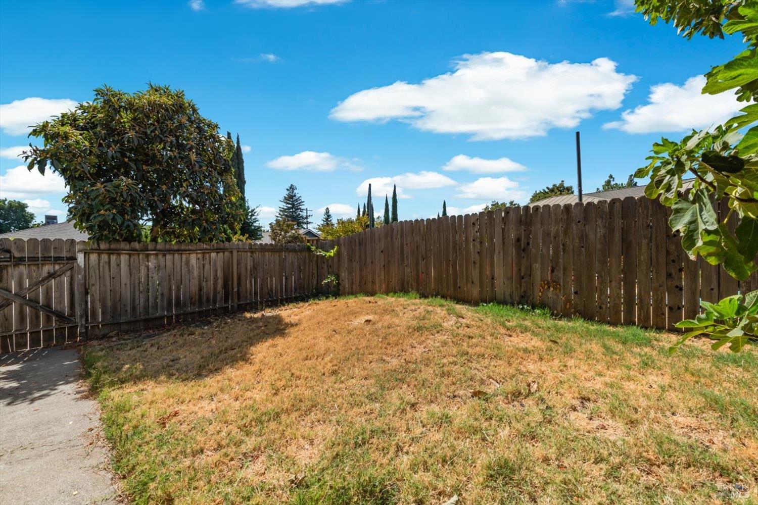 805 Avon Court Dixon CA 95620