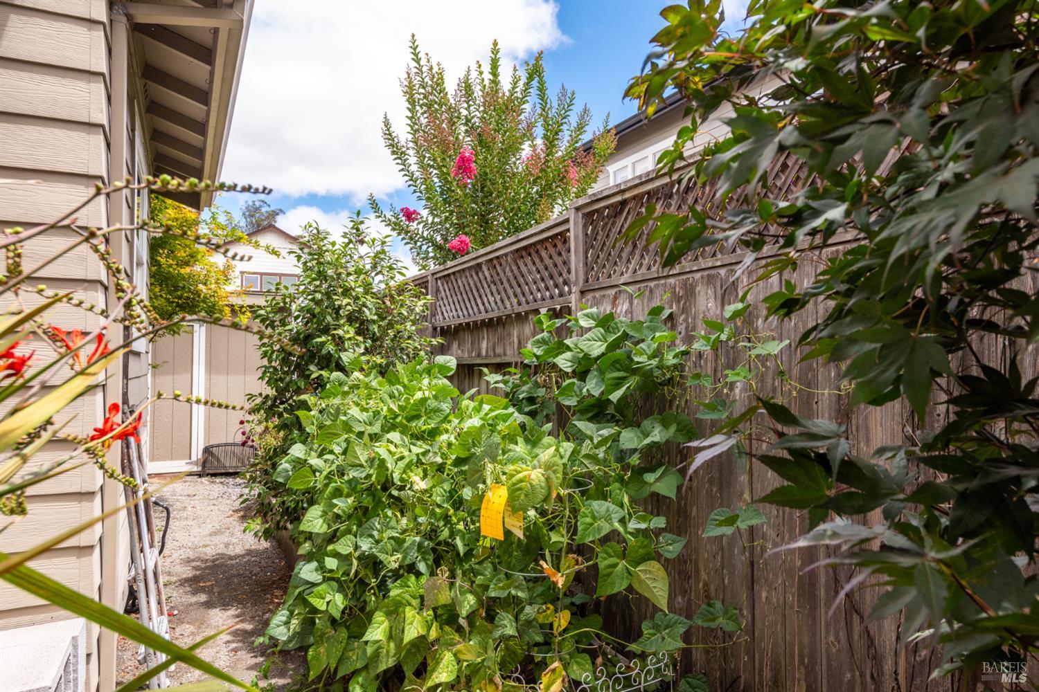 110 John Roberts Drive Cotati CA 94931