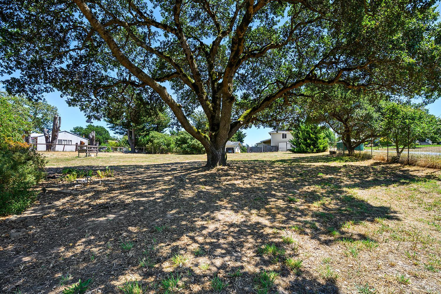 5975 Volkerts Road Sebastopol CA 95472