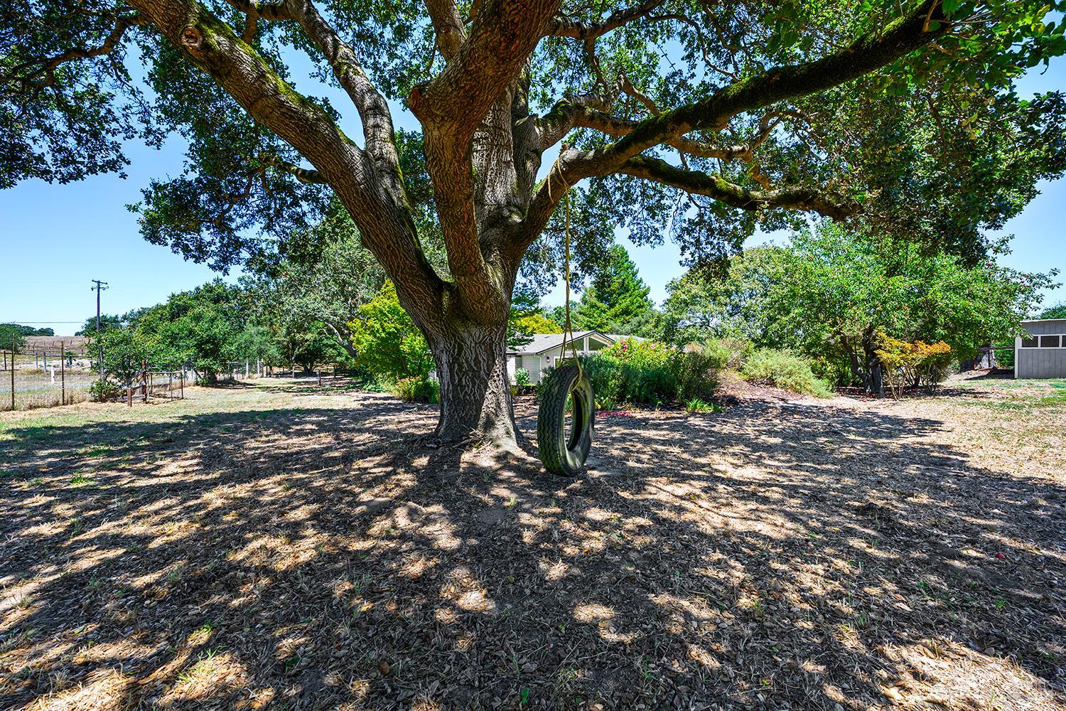 5975 Volkerts Road Sebastopol CA 95472