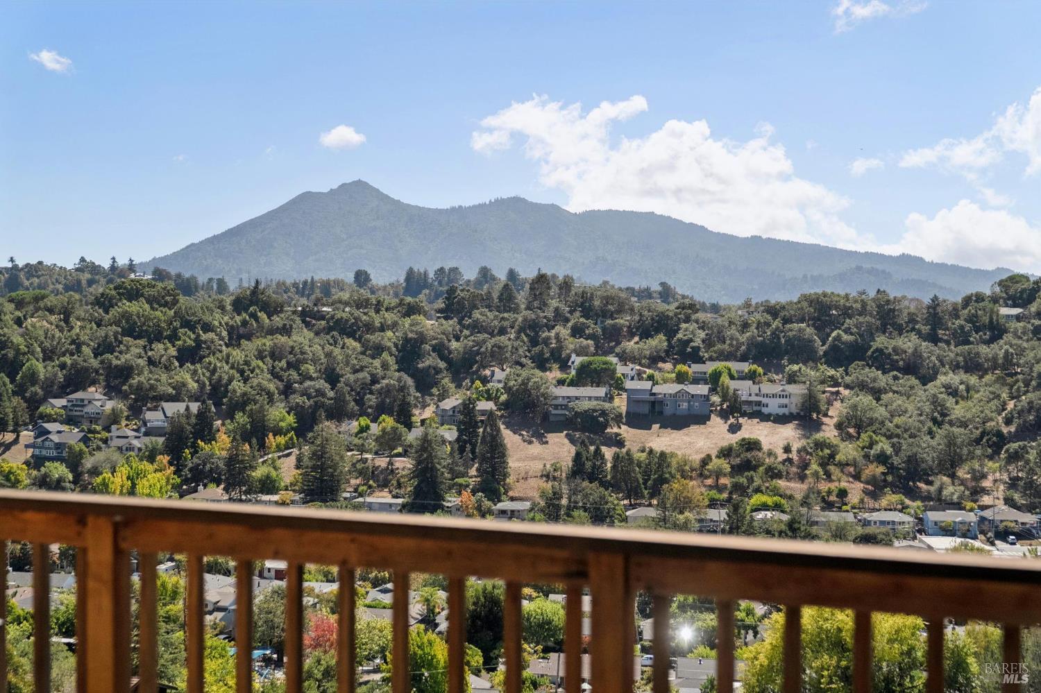 116 Maywood Way San Rafael CA 94901