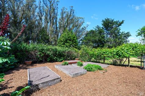 3735 Tomales-petaluma Road Tomales CA 94971