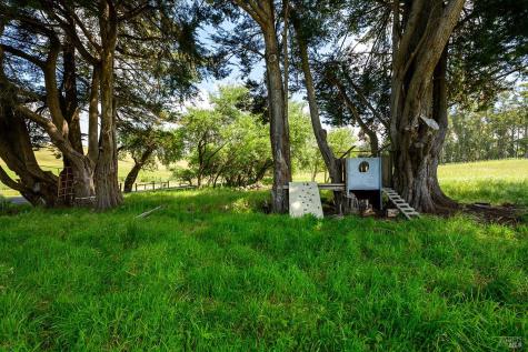 3735 Tomales-petaluma Road Tomales CA 94971