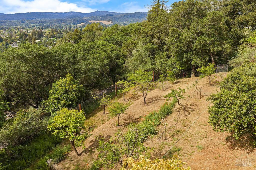 1212 N Fitch Mountain Road Healdsburg CA 95448