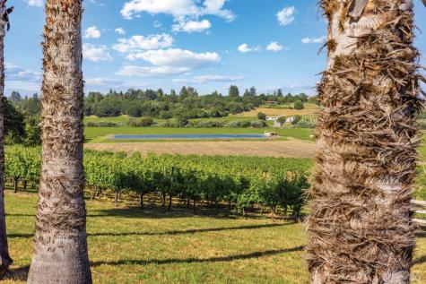 691 Ferguson Road Sebastopol CA 95472