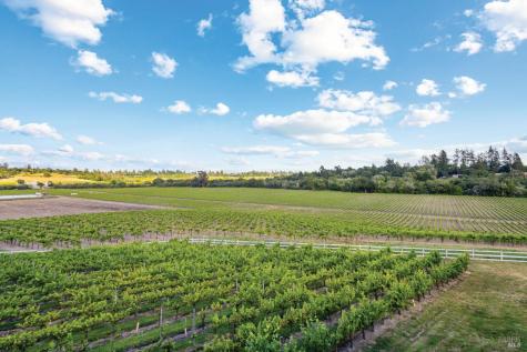 691 Ferguson Road Sebastopol CA 95472