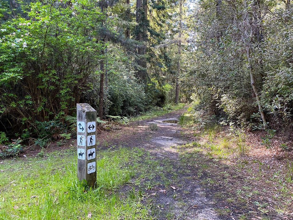 357 Deerfield Road The Sea Ranch CA 95497