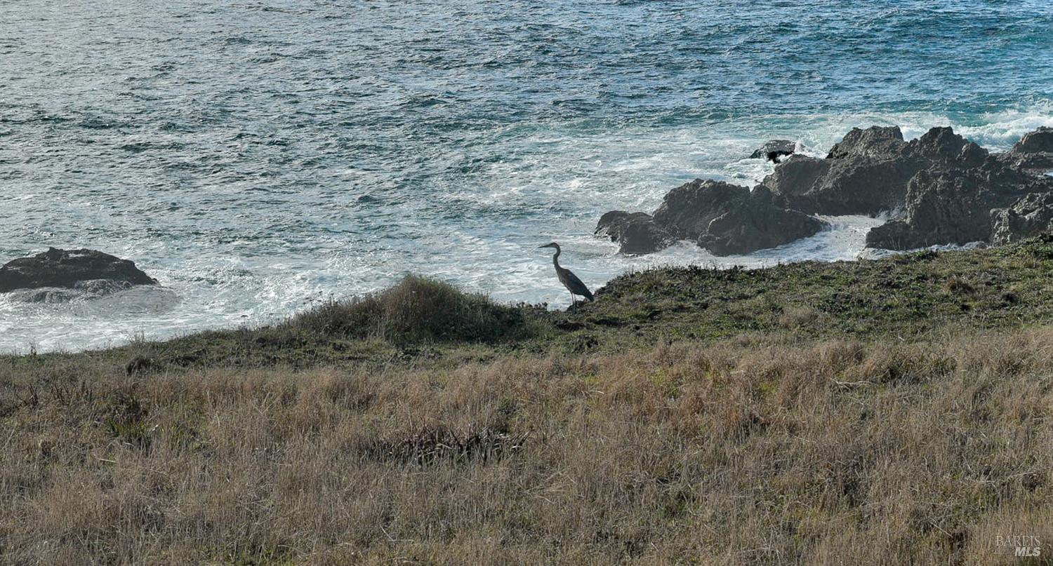 357 Deerfield Road The Sea Ranch CA 95497
