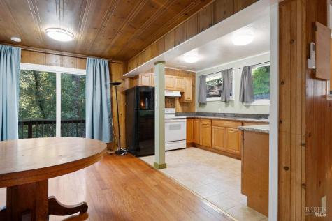 10987 Terrace Drive Forestville CA 95436