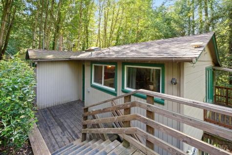 10987 Terrace Drive Forestville CA 95436