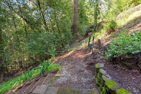 10987 Terrace Drive Forestville CA 95436