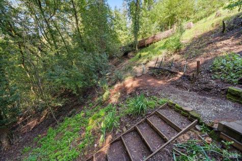 10987 Terrace Drive Forestville CA 95436